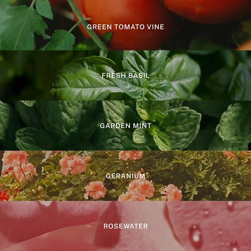 Hamptons Reed Diffuser