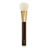 Cheek Brush 06