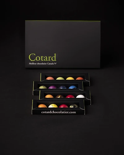 Box of 16 fine chocolates
