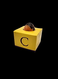 A-25x  Small milk chocolate egg garnished with three shellfish, available while stocks last (3 to 4 weeks delivery time)