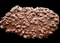 E-Dark chocolate cranberry bark (packaged in bags) - To be wrapped - 12 boxes