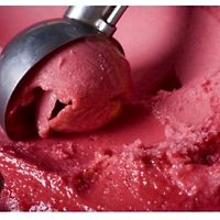 Y-Sorbet Mixed Berries 5L tub