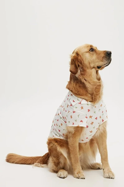 Novelty Dog Shirt