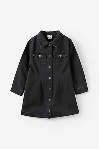 Sasha Long Sleeve Denim Shirt Dress