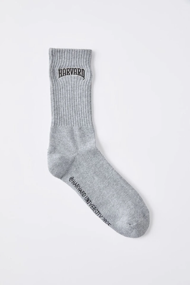Harvard Special Edition Sock
