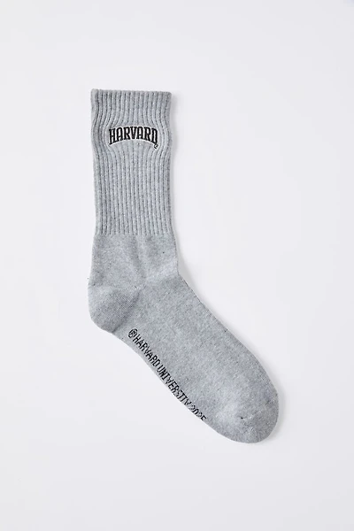 Harvard Special Edition Sock