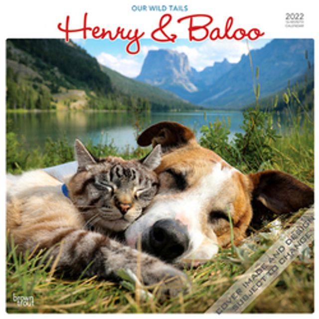 Browntrout Henry & Baloo Our Wild Tails 2022 Square Wall Calendar | Dulles  Town Center