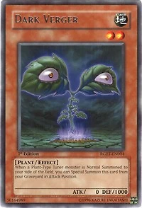 Dark Verger - RGBT-EN004 - Rare - 1st Edition
