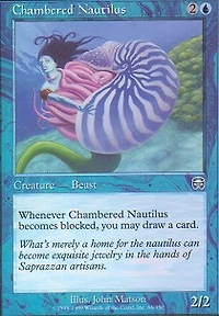 Chambered Nautilus