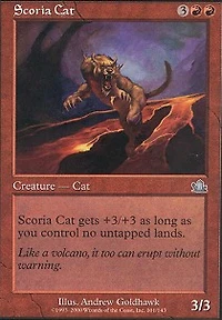 Scoria Cat
