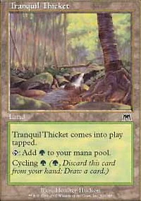 Tranquil Thicket