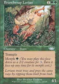 Branchsnap Lorian