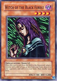 Witch of the Black Forest - SKE-020 - Common - 1st Edition