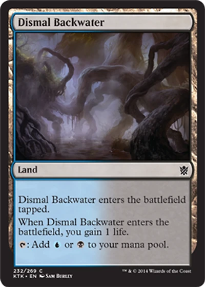 Dismal Backwater - Foil