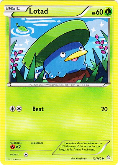 Lotad - 10/160 - Common