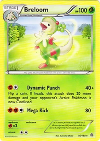 Breloom - 16/160 - Rare