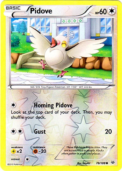 Pidove - 78/108 - Common - Reverse Holo