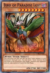 Bird of Paradise Lost - CORE-EN040 - Common - 1st Edition