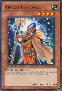 Amazoness Sage - DREV-EN030 - Common - 1st Edition
