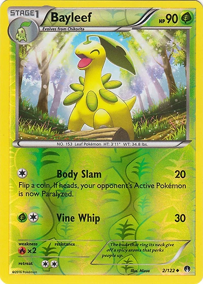 Bayleef - 2/122 - Uncommon - Reverse Holo