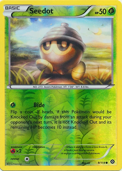 Seedot - 9/114 - Common - Reverse Holo