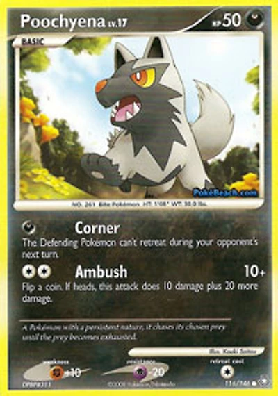 Poochyena - 116/146 - Common