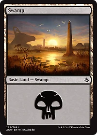 Swamp (262) - Foil