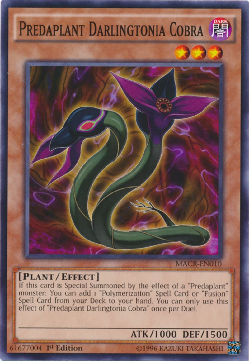 Predaplant Darlingtonia Cobra - MACR-EN010 - Common