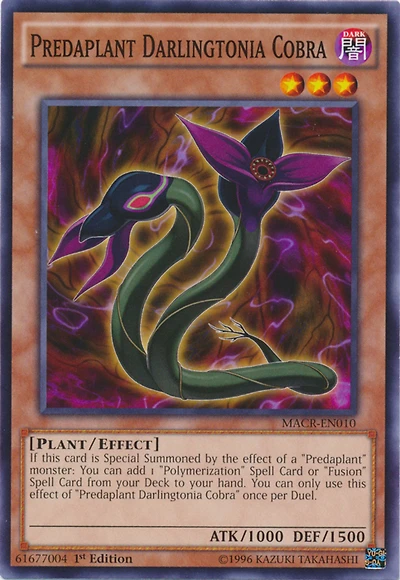 Predaplant Darlingtonia Cobra - MACR-EN010 - Common