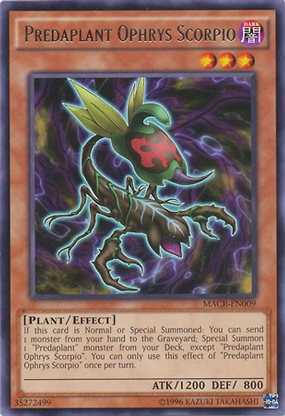 Predaplant Ophrys Scorpio - MACR-EN009 - Rare - Unlimited Edition