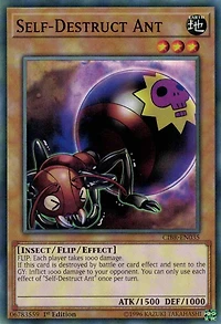 Self-Destruct Ant - CIBR-EN035 - Common - 1st Edition
