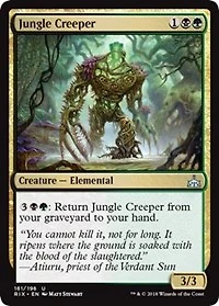 Jungle Creeper