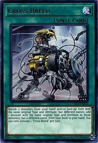 Cross Breed - CYHO-EN066 - Rare - Unlimited Edition