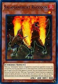 Salamangreat Raccoon - SDSB-EN001 - Common - 1st Edition