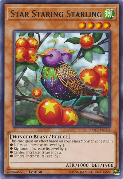 Star Staring Starling - DANE-EN024 - Rare - 1st Edition