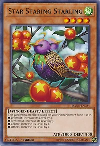 Star Staring Starling - DANE-EN024 - Rare - 1st Edition