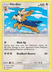 Herdier - 175/236 Uncommon