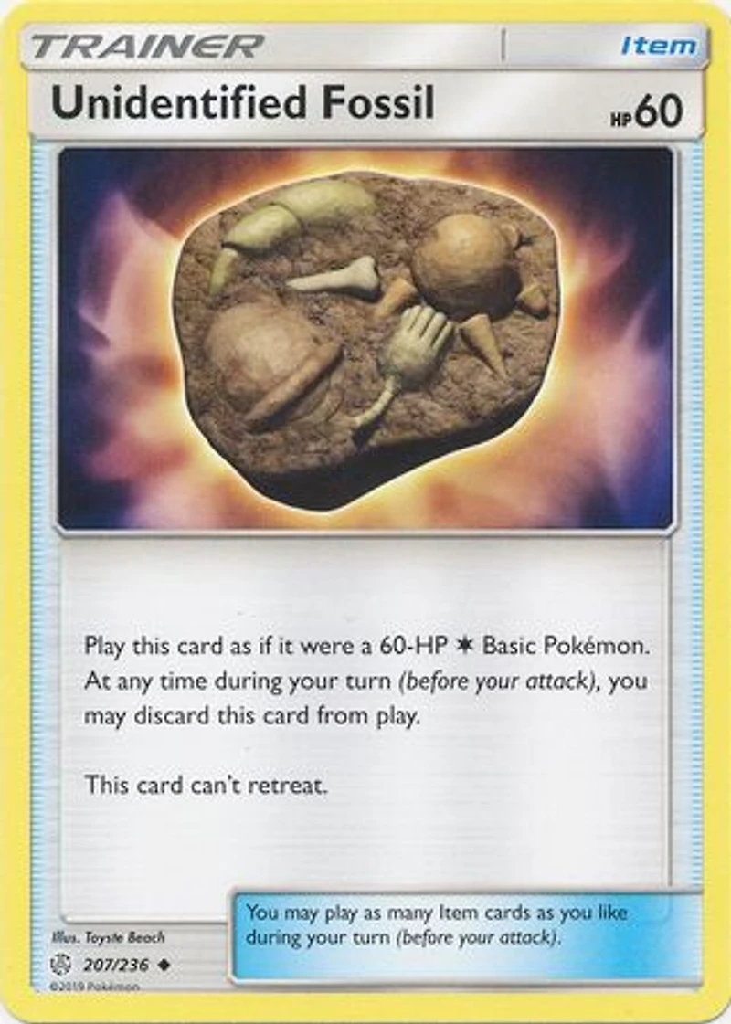 Unidentified Fossil - /236