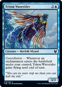 Triton Waverider - Foil