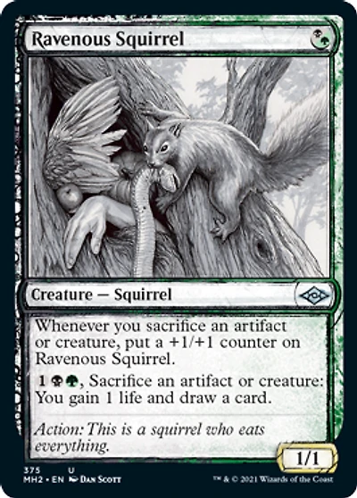 Ravenous Squirrel - Showcase