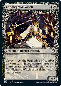 Candlegrove Witch - Foil Showcase