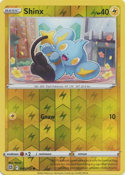 Shinx - 049/172 - Common - Reverse Holo