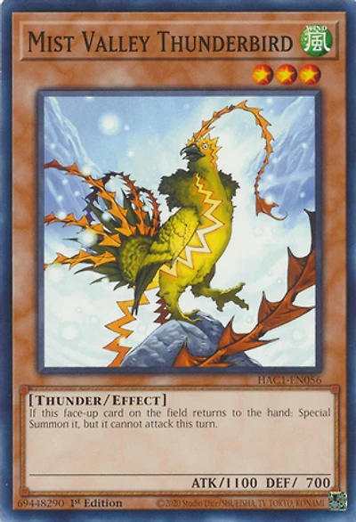 Mist Valley Thunderbird - HAC1-EN056 - Common - 1st Edition