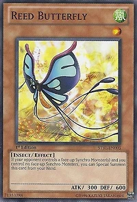 Reed Butterfly - STBL-EN003 - Common - 1st Edition