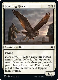 Scouting Hawk - Foil