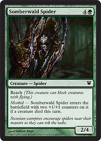 Somberwald Spider - Foil