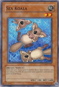 Sea Koala - PTDN-EN037 - Common - Unlimited Edition