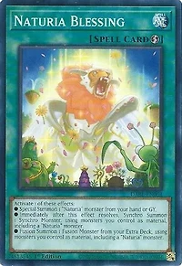 Naturia Blessing - DABL-EN064 - Common - 1st Edition