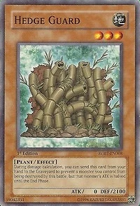 Hedge Guard - RGBT-EN008 - Common - Unlimited Edition