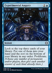Experimental Augury - Foil